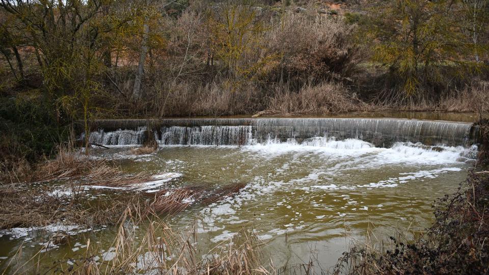 25.1.2026 Peixera del Duc  Fontanet -  Ramon Sunyer