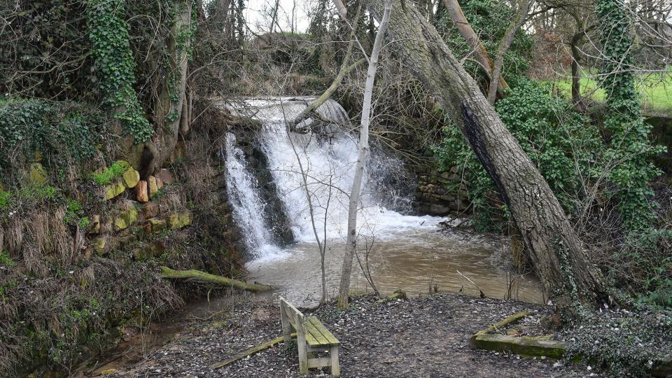 5.2.2026  Peixera de la Puda  Concabella -  Ramon Sunyer