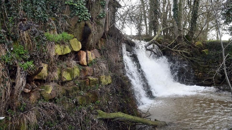 5.2.2026  Peixera de la Puda  Concabella -  Ramon Sunyer