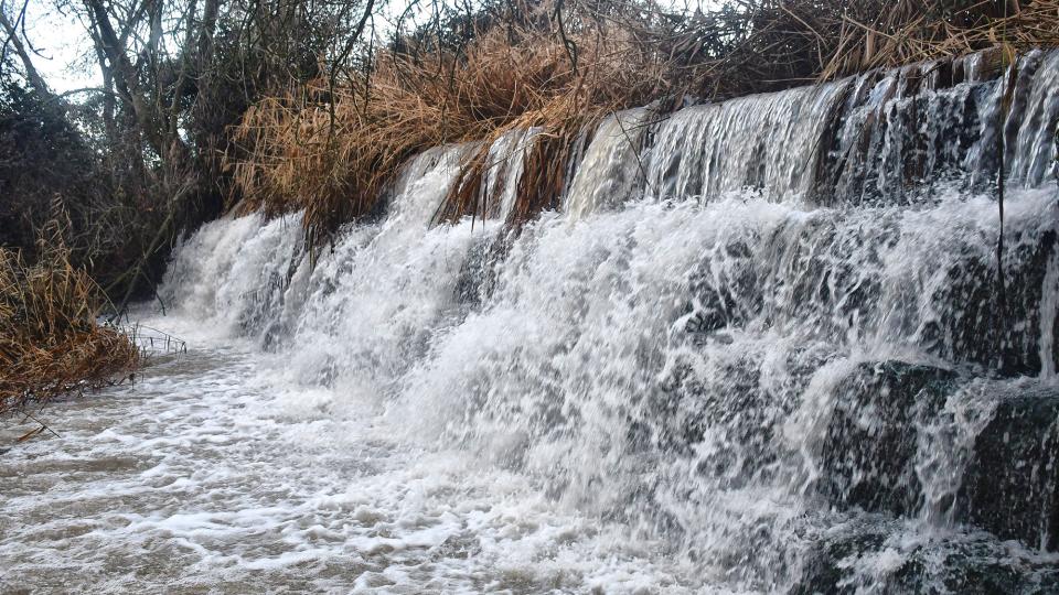 5.2.2026 Peixera  Ossó de Sió -  Ramon Sunyer