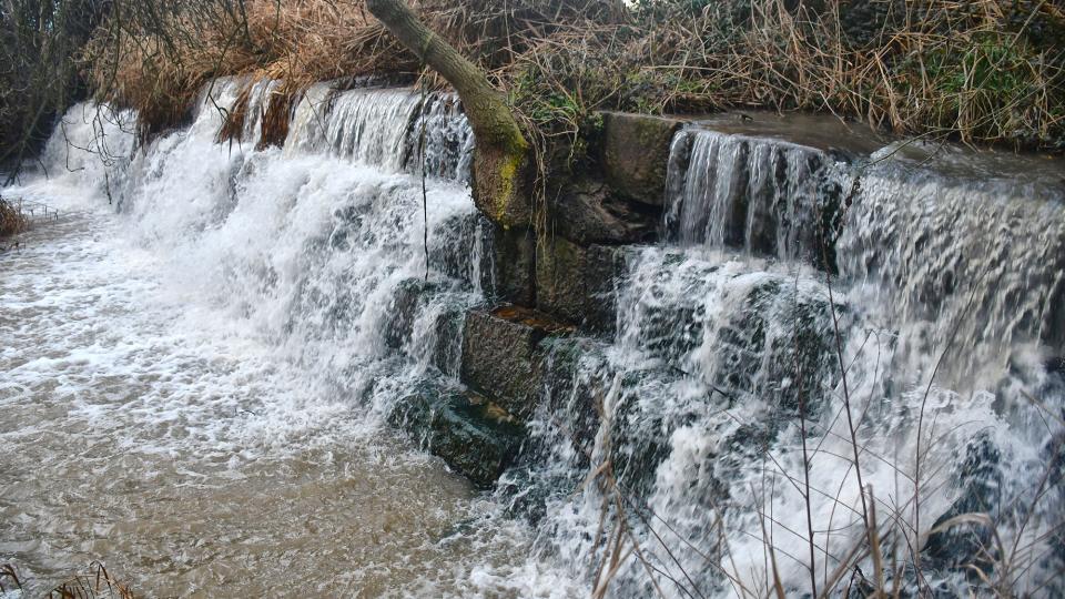 5.2.2026 Peixera  Ossó de Sió -  Ramon Sunyer