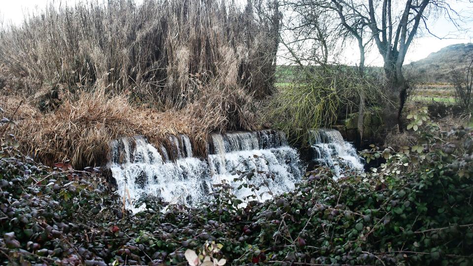 5.2.2026 Peixera  Ossó de Sió -  Ramon Sunyer