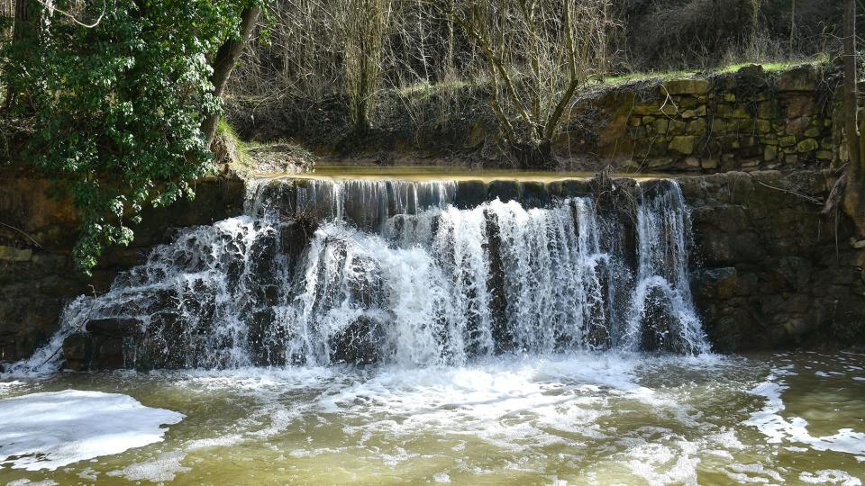 9.2.2026 Peixera de la Font del Ferro  Sanaüja -  Ramon Sunyer