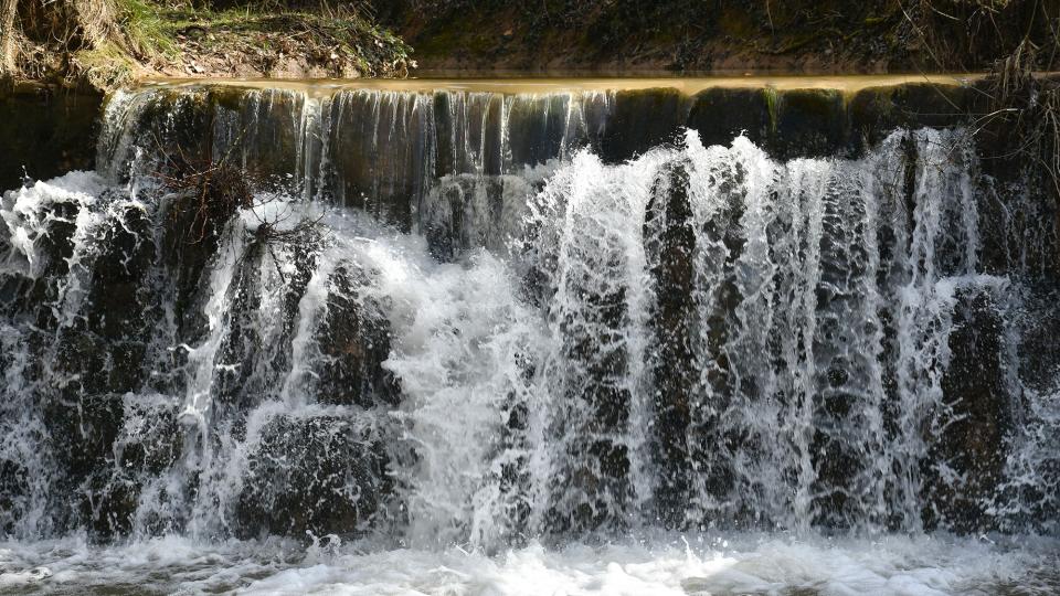 9.2.2026 Peixera de la Font del Ferro  Sanaüja -  Ramon Sunyer