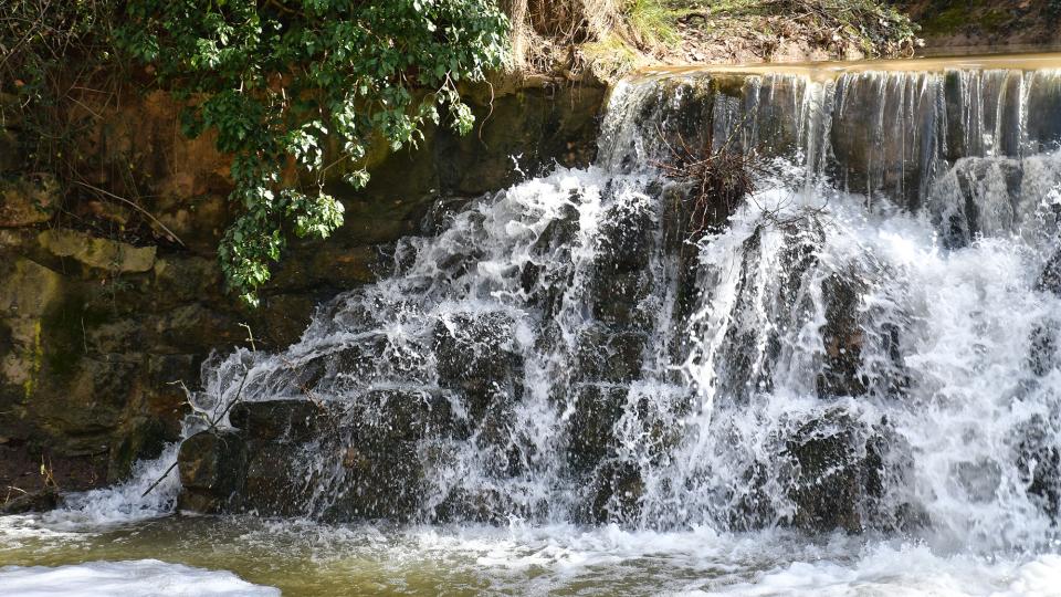 9.2.2026 Peixera de la Font del Ferro  Sanaüja -  Ramon Sunyer