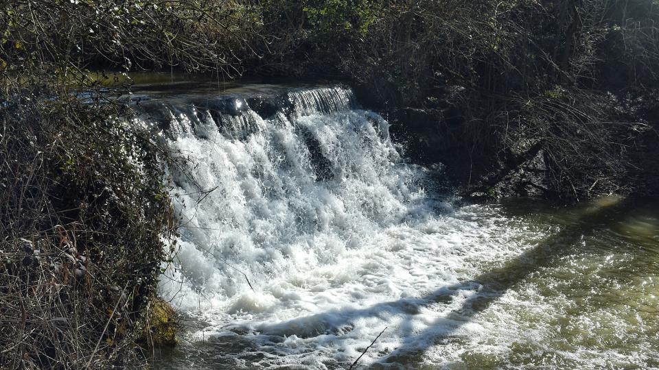 8.2.2026  Peixera del Molí del Cava  Puig-arner -  Ramon Sunyer