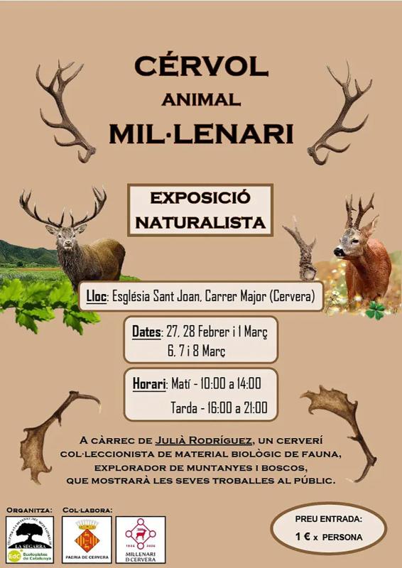 cartell Exposició naturalista 'Cérvol, animal mil·lenari'