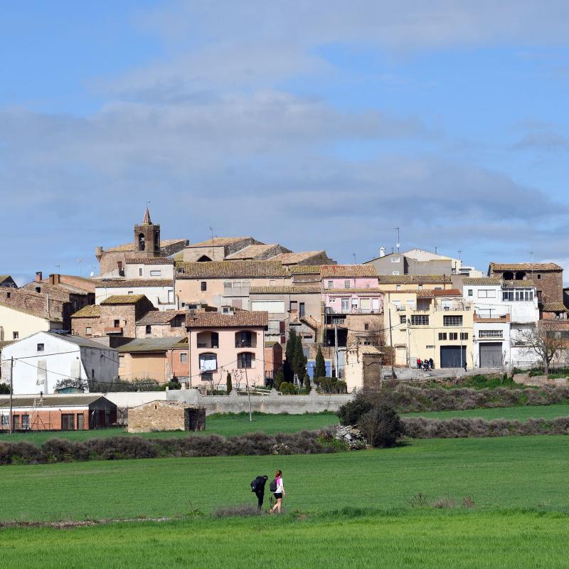 8 de Març de 2026 XXV Marxa dels Castells  Les Pallargues -  Ramon Sunyer