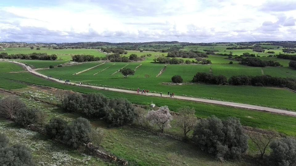 8 de Març de 2026 XXV Marxa dels Castells  Les Pallargues -  Ramon Sunyer