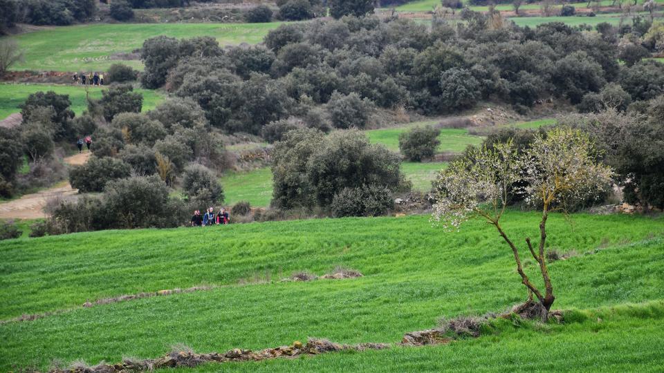 8 de Març de 2026 XXV Marxa dels Castells  Les Sitges -  Ramon Sunyer
