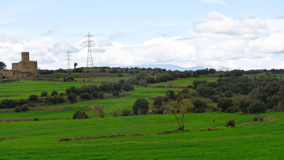 8 de Març de 2026 XXV Marxa dels Castells  Les Sitges -  Ramon Sunyer