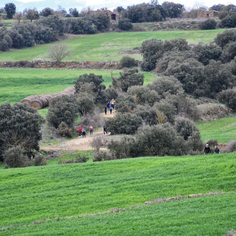 8 de Març de 2026 XXV Marxa dels Castells  Les Sitges -  Ramon Sunyer