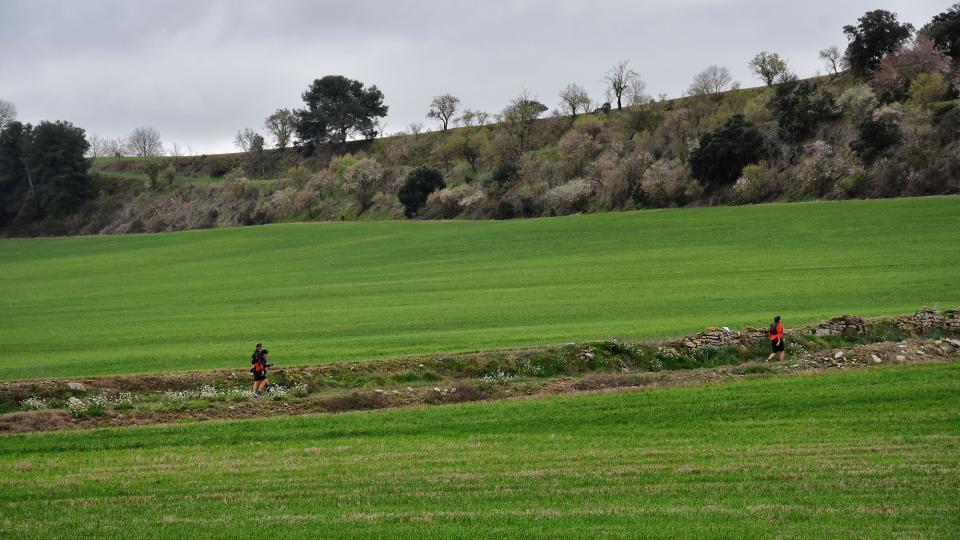 8 de Març de 2026 XXV Marxa dels Castells  El Llor -  Ramon Sunyer