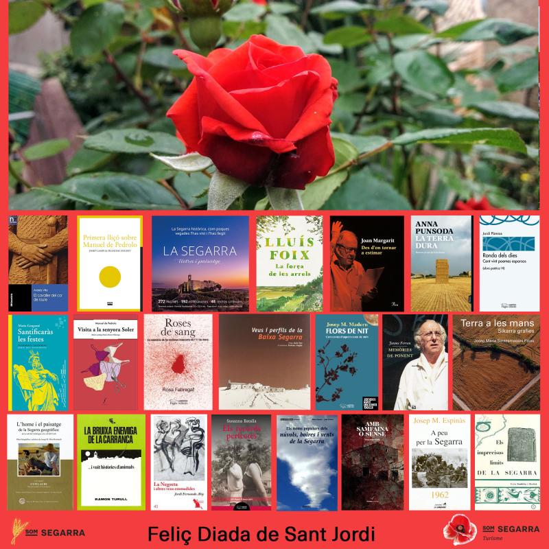 cartell Bon Sant Jordi