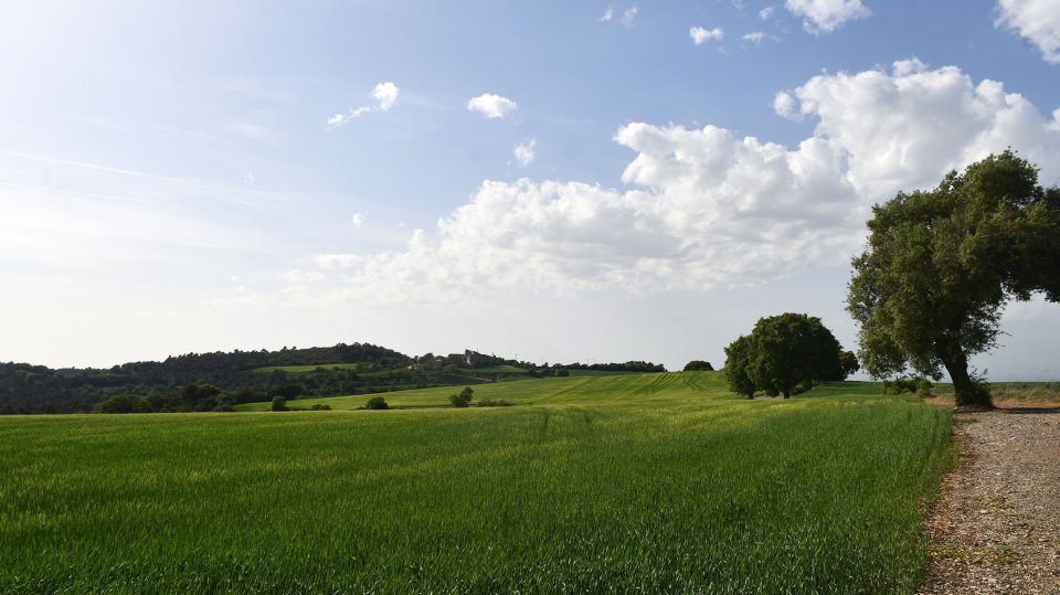 22.4.2026 - vista del poble - Suró - Ramon Sunyer