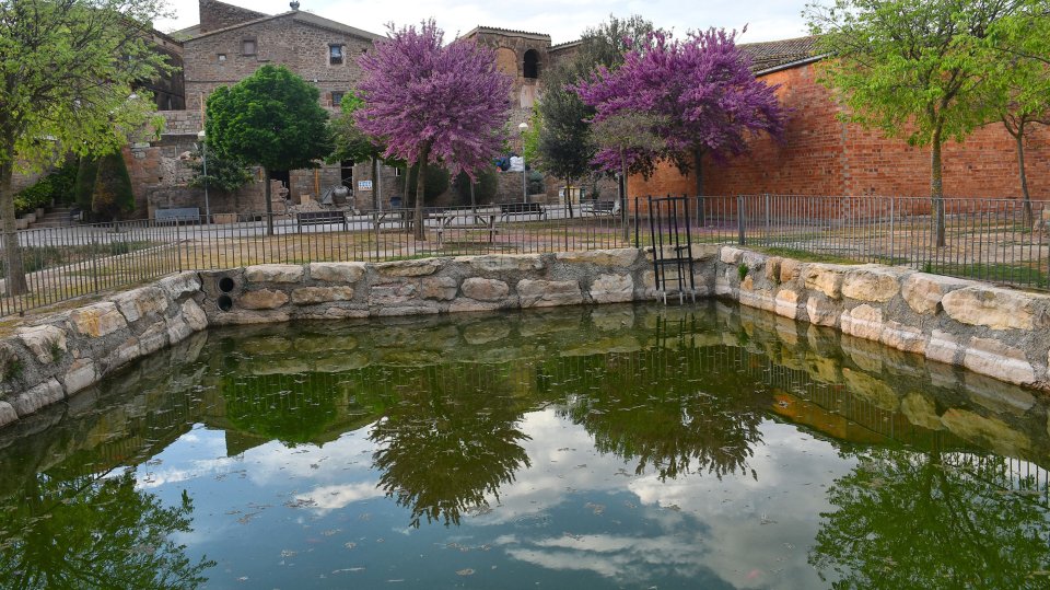 Espacio  Bassa