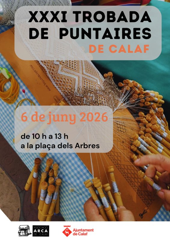 cartell XXXI Trobada de puntaires