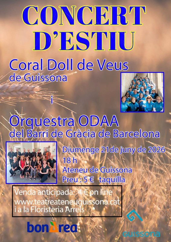 cartell Concert d'Estiu