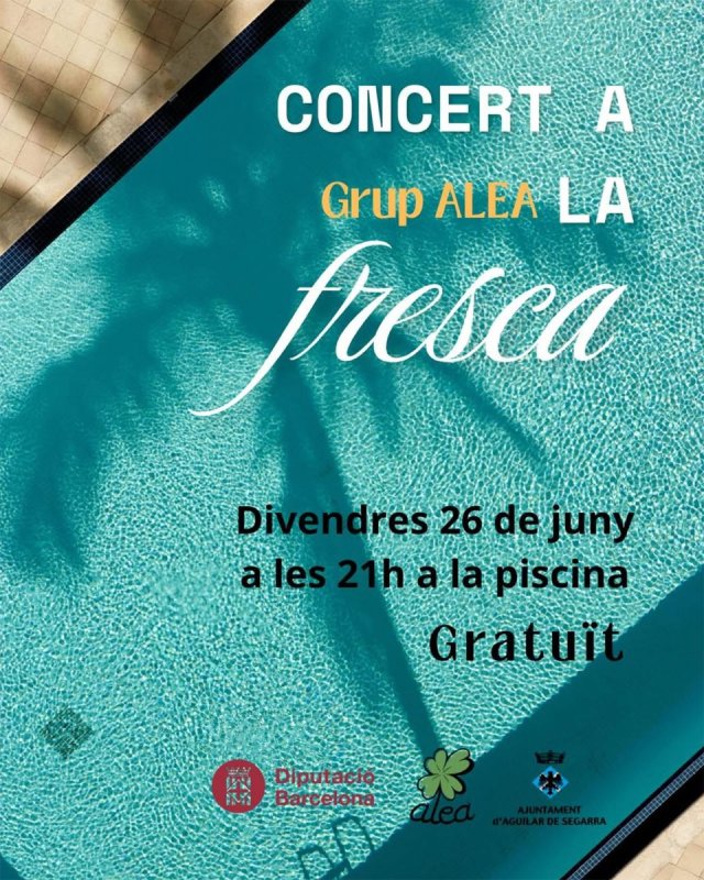 cartell Concert del grup Alea