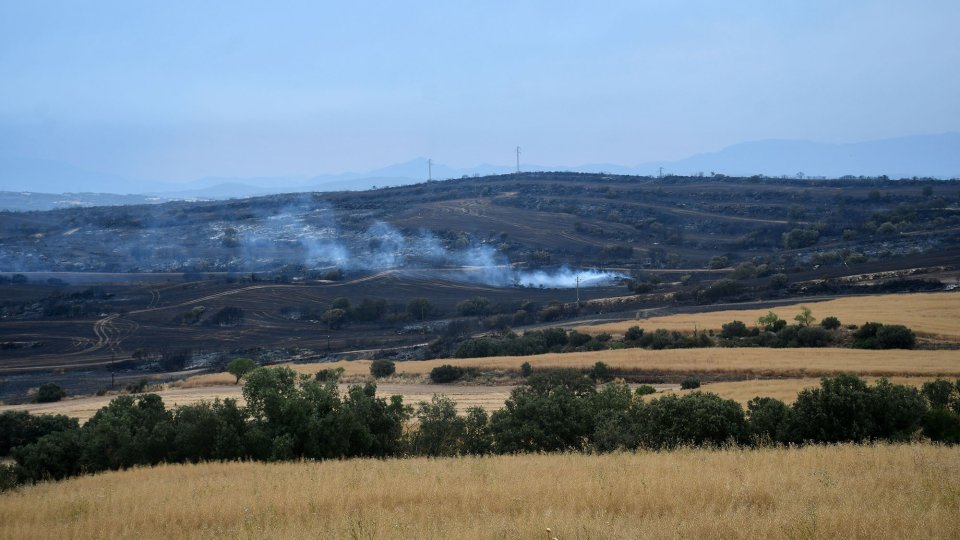 Un incendi a Selvanera crema 130 hectàrees de terreny agrícola i forestal - Selvanera