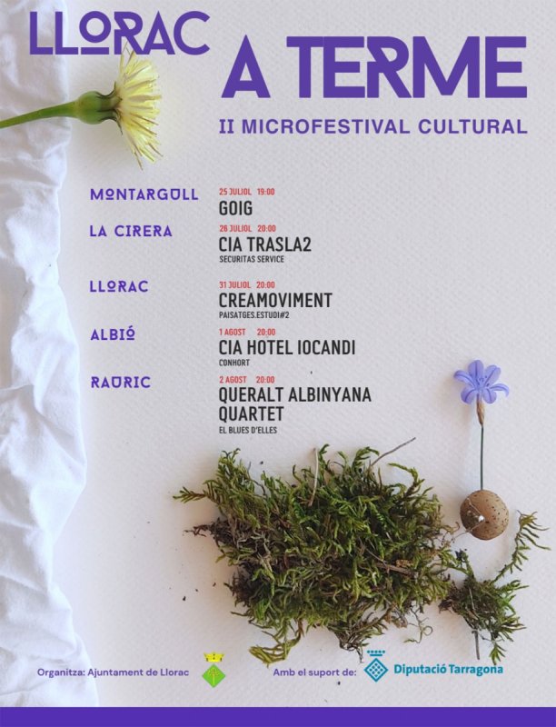 cartell II Microfestival Cultural Llorac a Terme