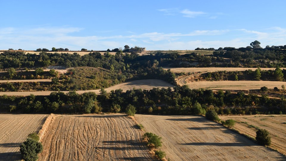 19.9.2026 - Paisatge - Granyena de Segarra - Ramon Sunyer