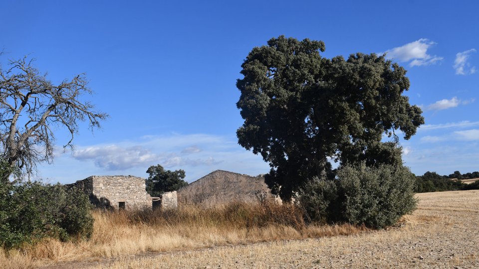 19.9.2026 - Paisatge - Granyena de Segarra - Ramon Sunyer
