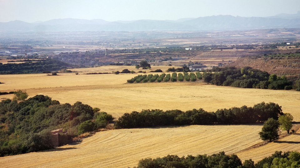 19.9.2026 - Paisatge - Granyena de Segarra - Ramon Sunyer