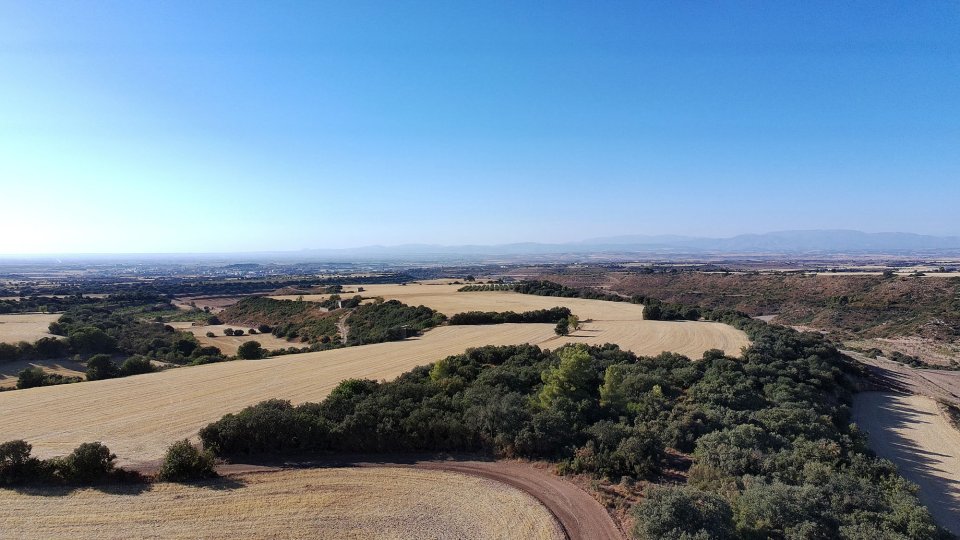 19.9.2026 - Paisatge - Granyena de Segarra - Ramon Sunyer