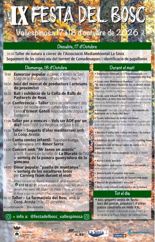 cartell IX Festa del Bosc