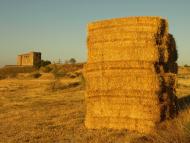 Montcortès de Segarra: 'El castell [Montcortès] és d'un volum impressionant, alt de parets, massís i amb dues torres solemnes simètriques. Fou cap de baronia, i va pertànyer a la família dels Ausiàs March...