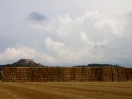 Viatge a la Segarra: De Sant Ramon a Sant Guim