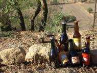 Guissona: cerveses artesanes de la Segarreta i la Vella Caravana  Camins de Sikarra