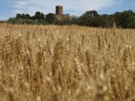 Florejacs: Castell de les Sitges  Camins de Sikarra