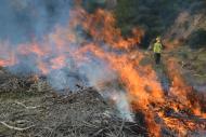 Comença la prohibició de fer foc en zones forestals