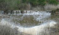 Torà: La peixera del duc al llanera  jm santesmasses