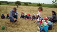 Sant Guim de Freixenet: Els escolars realitzen una plantada d’arbres  CC Segarra