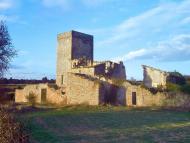 Passanant: La Sala de Comalats, ruïnes i torre  jordi domènech