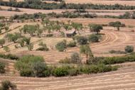 Ivorra: Cabana enmig dels trossos  Ramon Sunyer