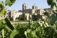 Vallbona de les Monges: vinyes a redós del monestir  Olivera