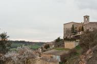 Vergós Guerrejat: es troba en la solana de la costa de Freixenet  Ajuntament d'Estaràs