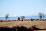 Segarra: Paisatge a l'altiplà  Ramon Sunyer