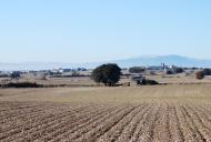 : Paisatge a l'altiplà  Ramon Sunyer