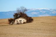 Segarra: Paisatge a l'altiplà  Ramon Sunyer