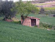 Castellfollit de Riubregós: cabana  Ramon Sunyer