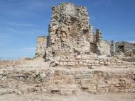 Alta-riba: Castell Sant Miquel  AACSMA