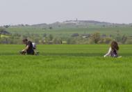 Montcortès de Segarra: Paisatge  marta maseras