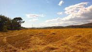 Torà: Paisatge  Ramon Sunyer