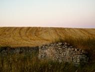 Santa Coloma de Queralt: Paisatge  Tribus de la Segarra