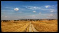 Concabella: Vall del Sió  Ramon Sunyer